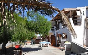 Casa Gatto Volpa con quad
